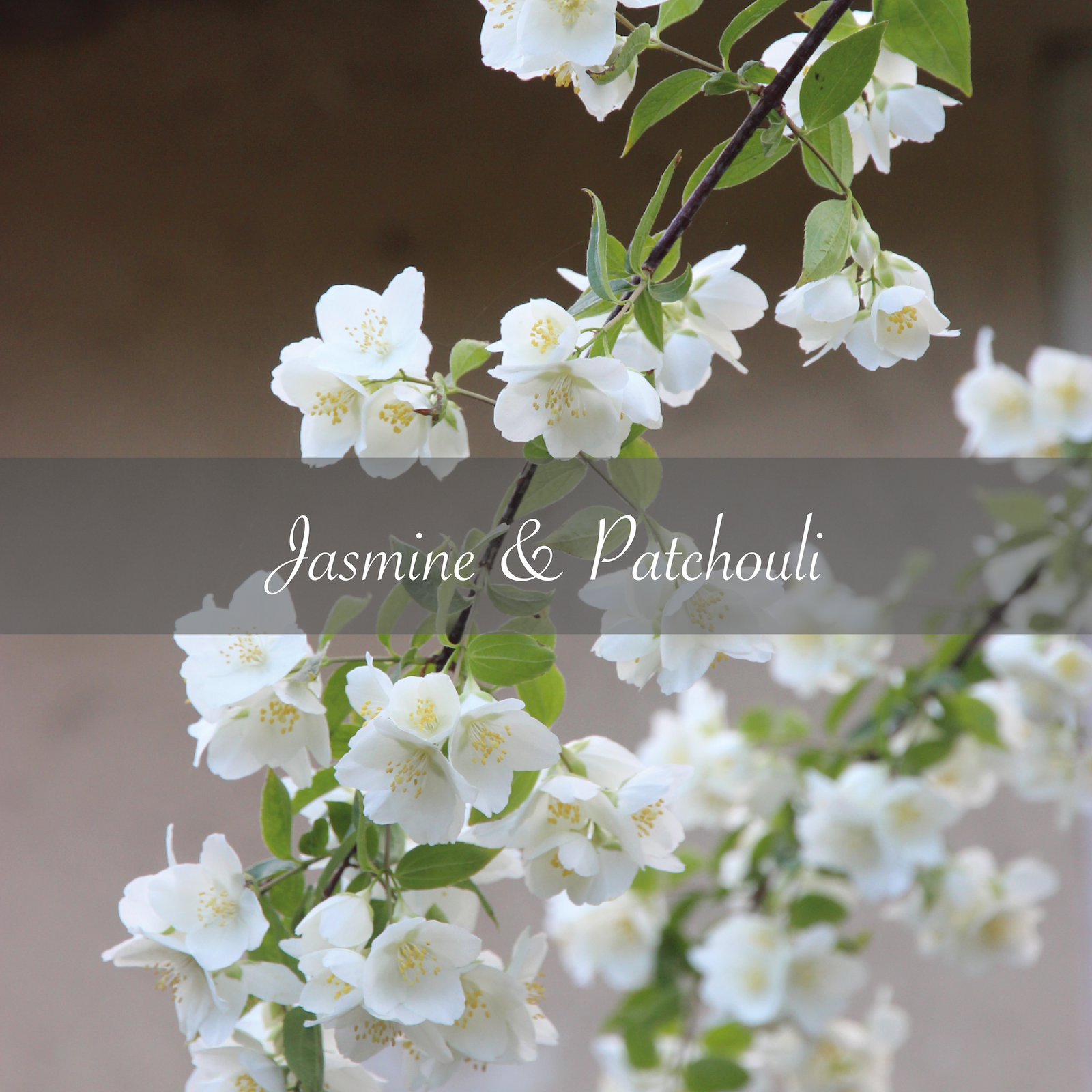 Jasmine & Patchouli: An intense, heady floral with an almost narcotic edge. Top notes of Indian jasmine and heady lily of the valley lead into an alluring heart of sweet, intoxicating geranium, all encased in a base of sultry, rich patchouli oil. 