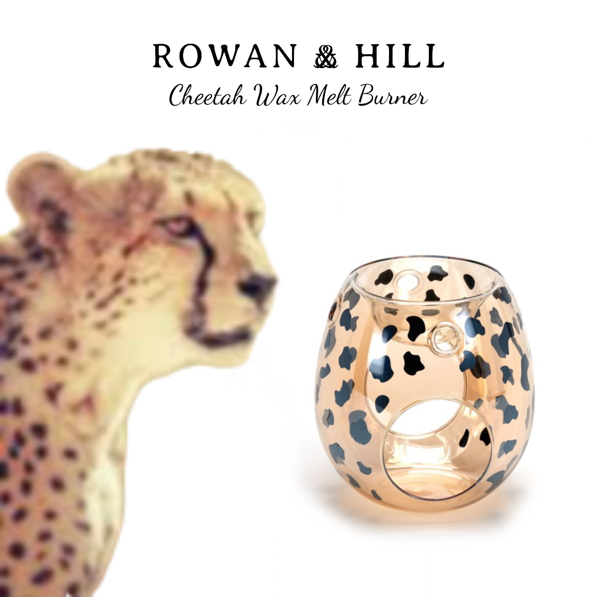 CHEETAH