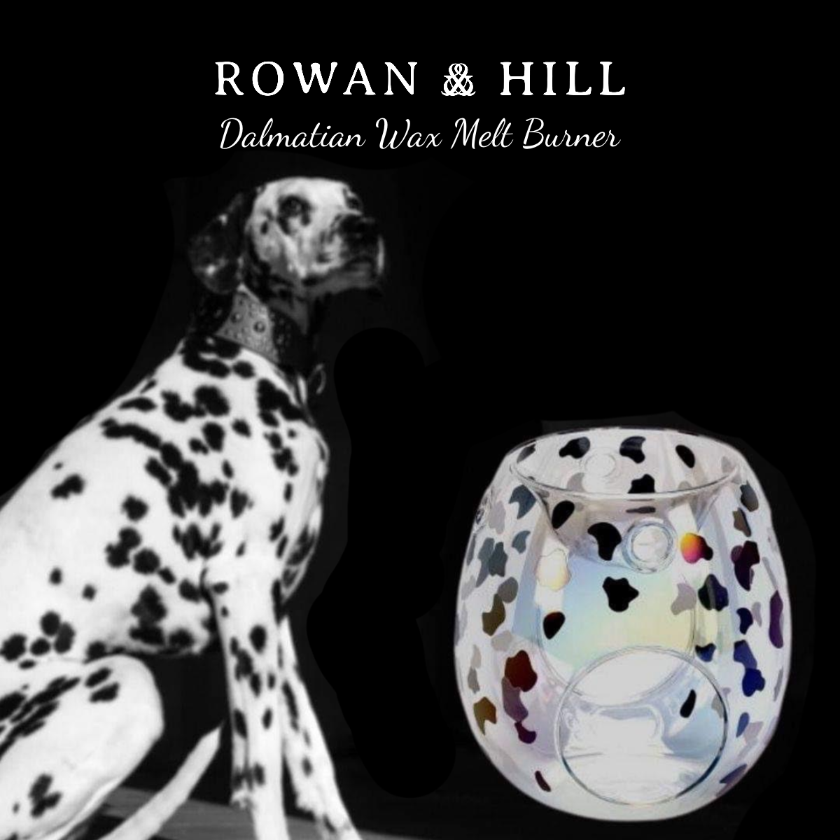 DALMATIAN